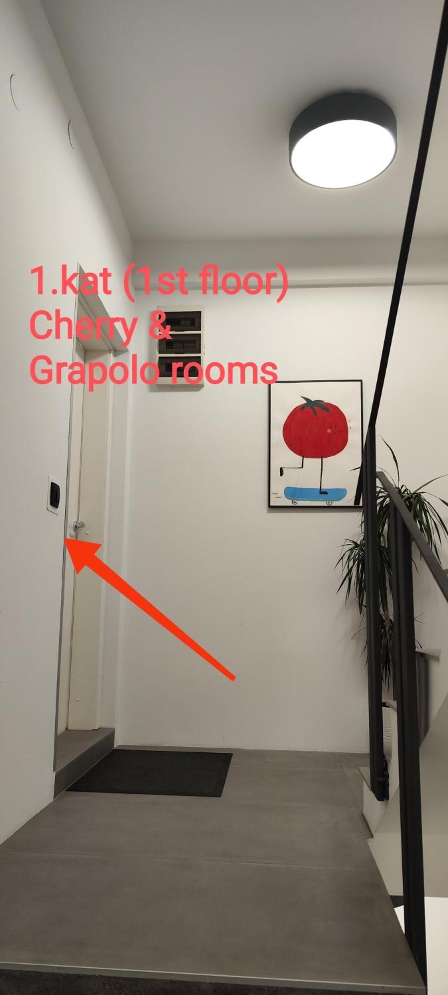Pomodoro Rooms ザグレブ エクステリア 写真